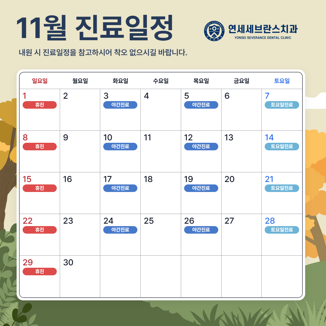 11월 진료일정 PC