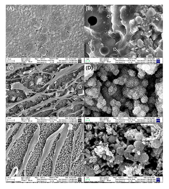 SCI 저널(Materials) 논문 발표